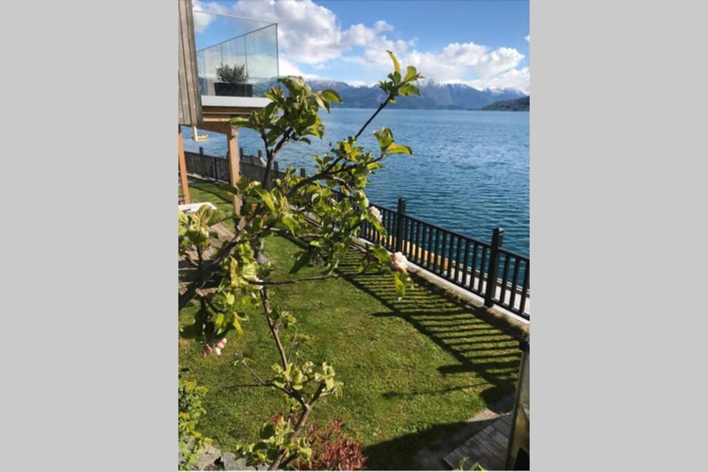 Panoramaresort In Hardangerfjorden Leilighet I Sjokanten Ved Hardangerfjorden For 7 Personer Boat , Sauna,Kajak, Sup For Rent Øystese 외부 사진